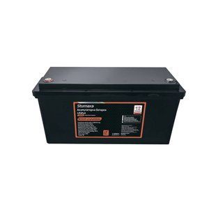 Акумулятор 24В, 100 Ah LiFePo4 літій-залізо-фосфатний Sturmax BC25VM-LiFePo4100AH 3026833729 фото