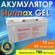 Акумуляторна гелева батарея GEL 12B 65 Аг Sturmax BC12VM-GEL65AH 2430368396 фото 2